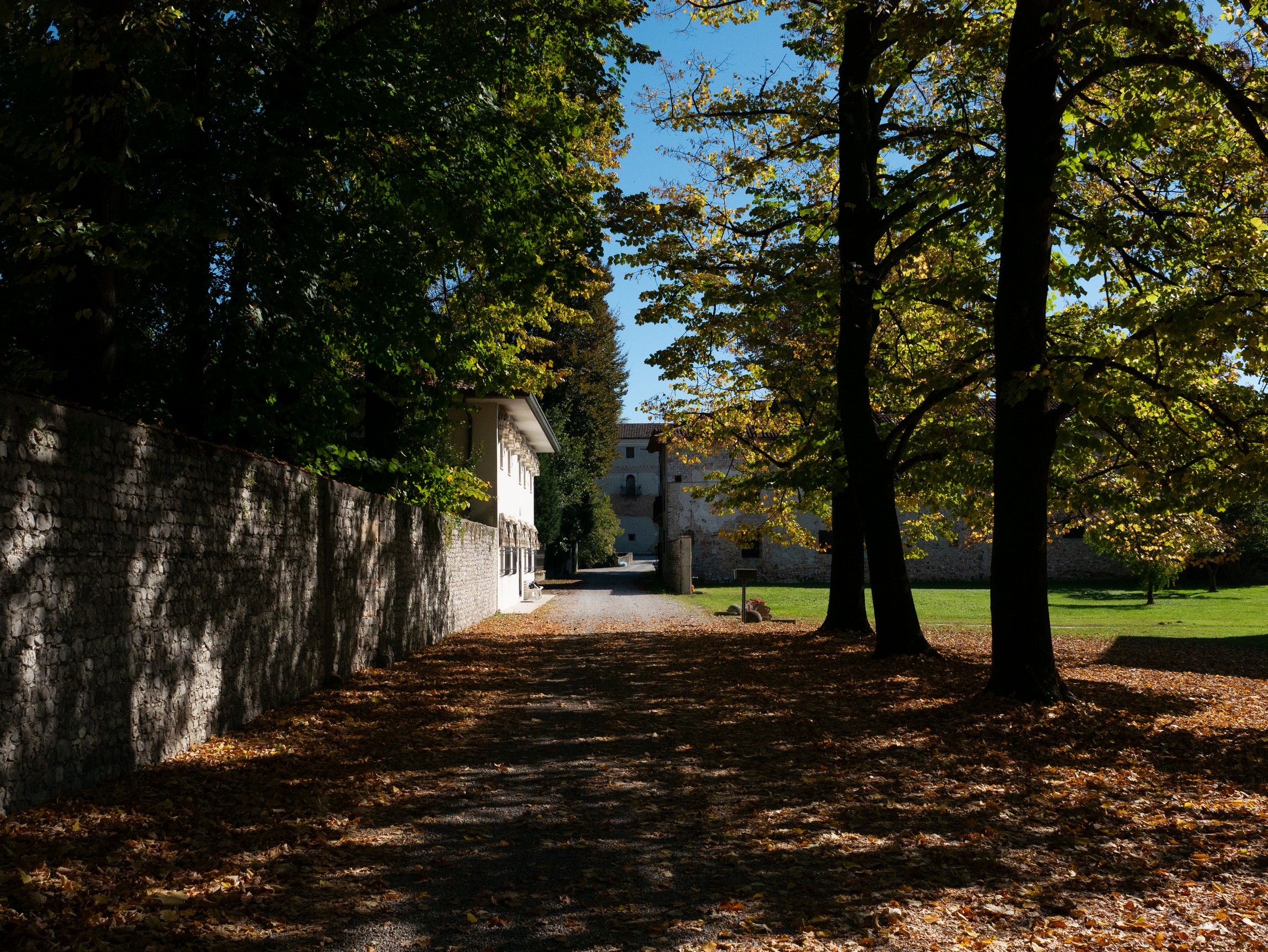 Il viale che conduce al nostro negozio a Zoppola